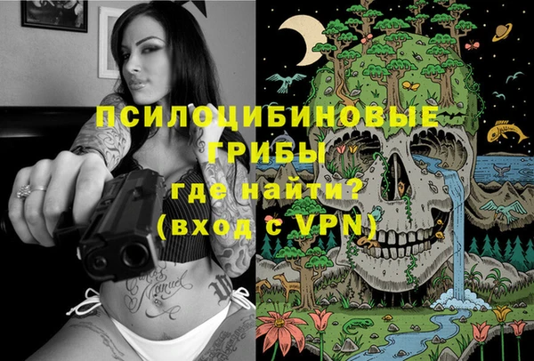 гашик Алексеевка