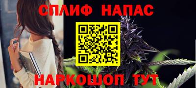 прущие грибы Моздок