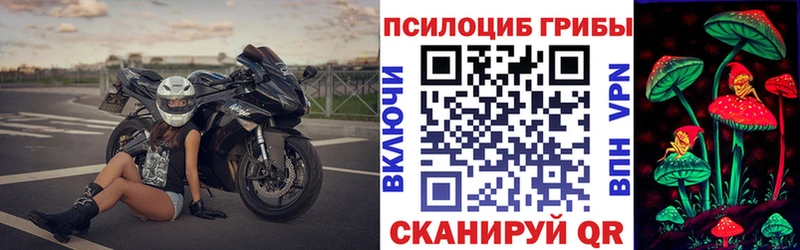 купить закладку Тулун Галлюциногенные грибы мицелий