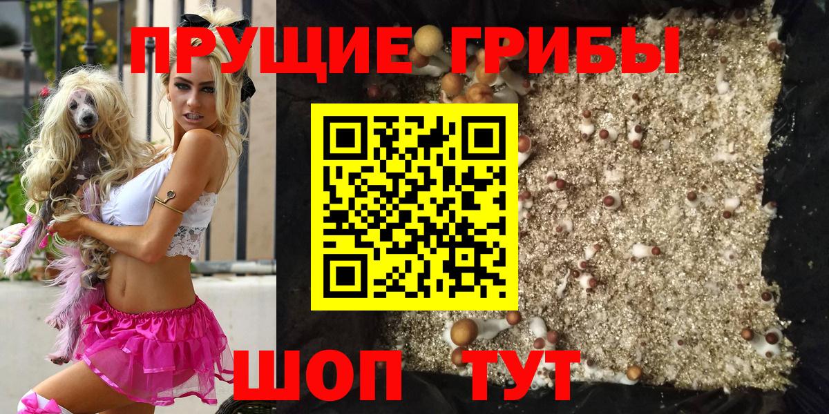 Галлюциногенные грибы Psilocybine cubensis Тулун