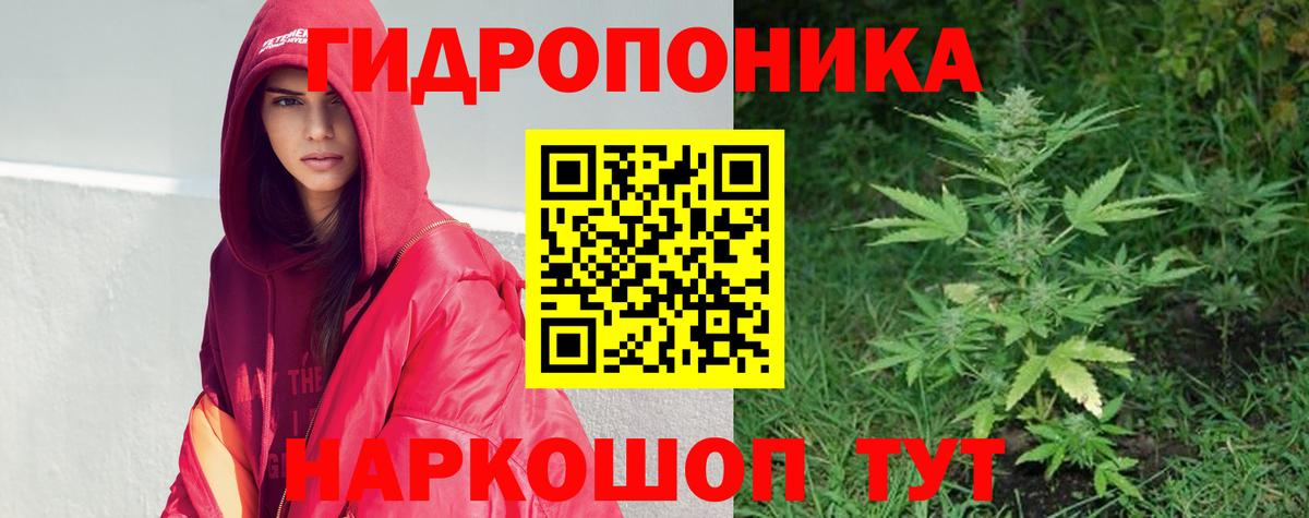 Тулун  МАРИХУАНА план  Каннабис LSD WEED  Вход с VPN 